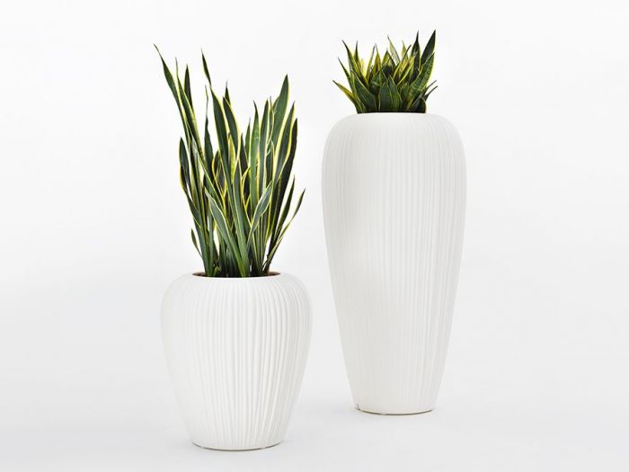 Archisio - Enis - Progetto Arredamento e design