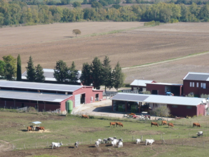 Archisio - Geom Manuel Pifferi - Progetto Impianto fotovoltaico