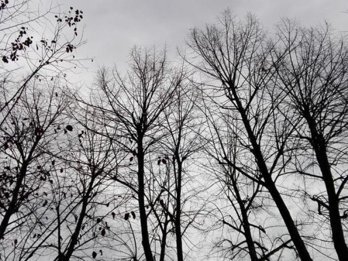 Archisio - Lab Giobbi - Progetto Arte