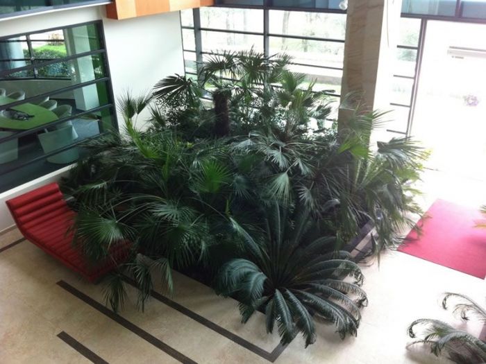 Archisio - Carlo Maria Maggia - Progetto Giardini