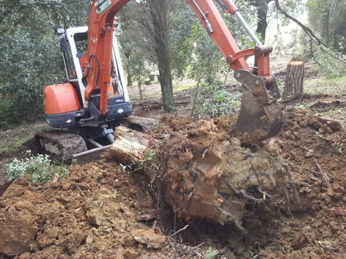 Archisio - Pucci Edilizia E Strade - Progetto Opere di sistemazione esterna