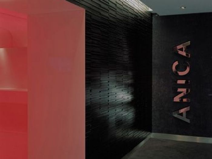 Archisio - Andrea Stipa - Progetto Ristrutturazione del cinema anica a roma