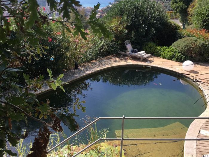 Archisio - Progettare Spazi Verdi - Progetto Il museo verde