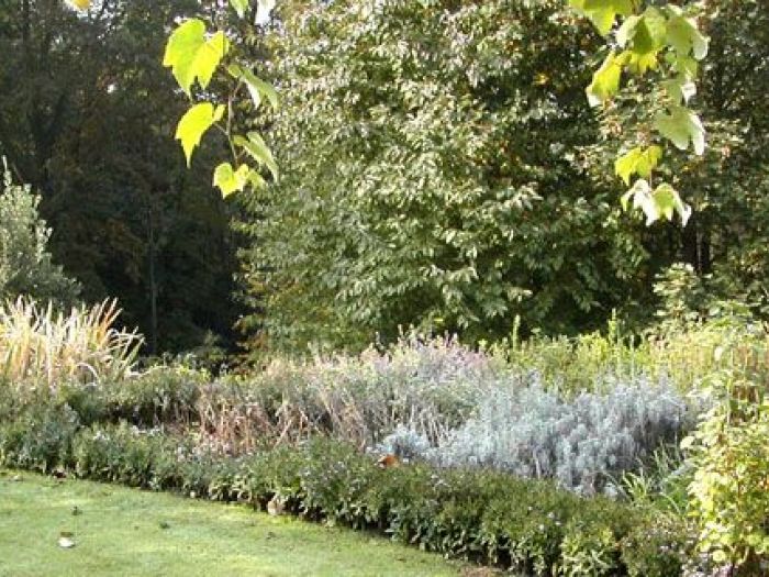 Archisio - Studio Di Agronomia E Architettura Del Paesaggio - Progetto Giardino privato