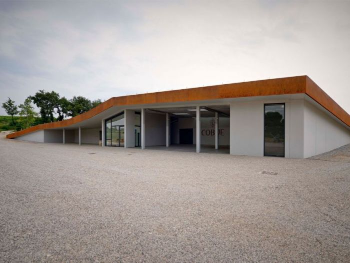 Archisio - Manuel Benedikter - Progetto Vineyard cobue