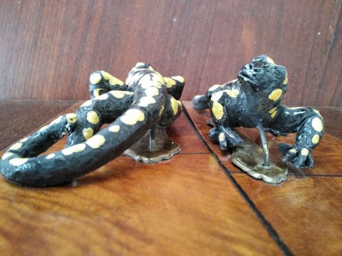 Archisio - Emilio Alberti - Progetto Salamandre