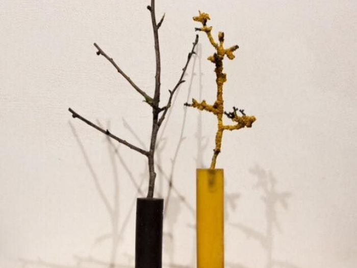 Archisio - Incredix Lab Design - Progetto Oggetti liquidi