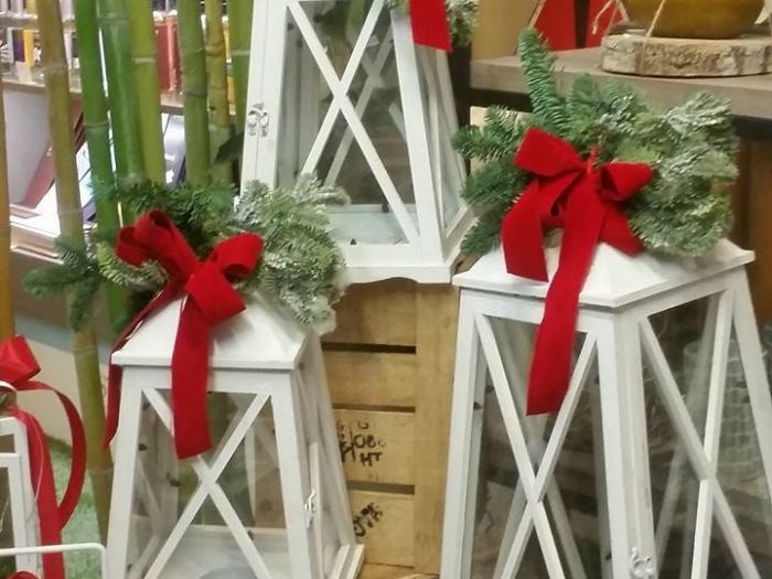 Archisio - Massarroni - Vivai Piante - Garden - Progetto Vivai e piante