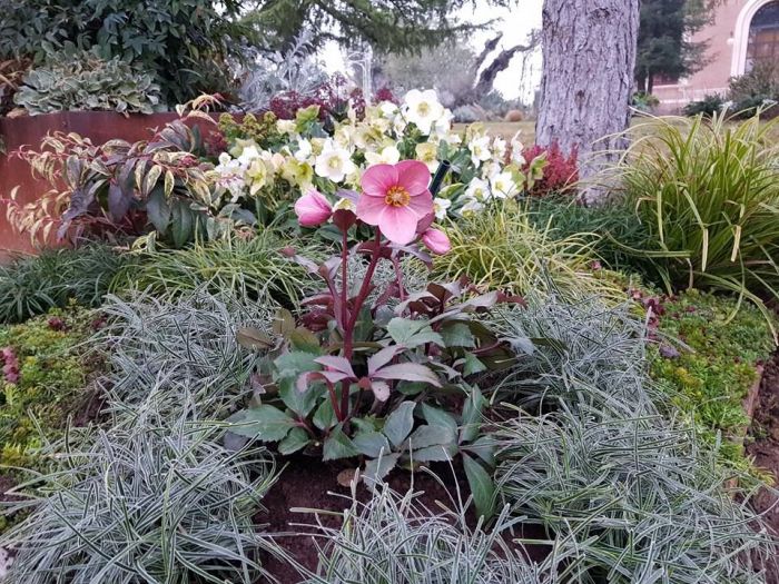 Archisio - Studio Mama - Progetto Giardini esterni