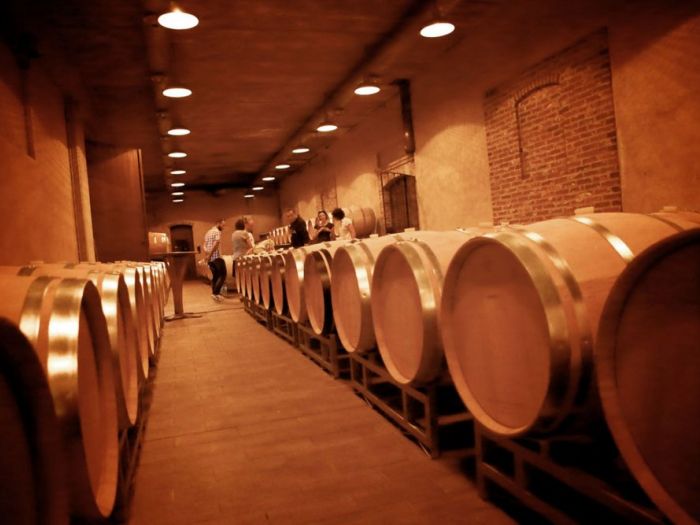 Archisio - Dario Castellino - Progetto Spazi espositivi