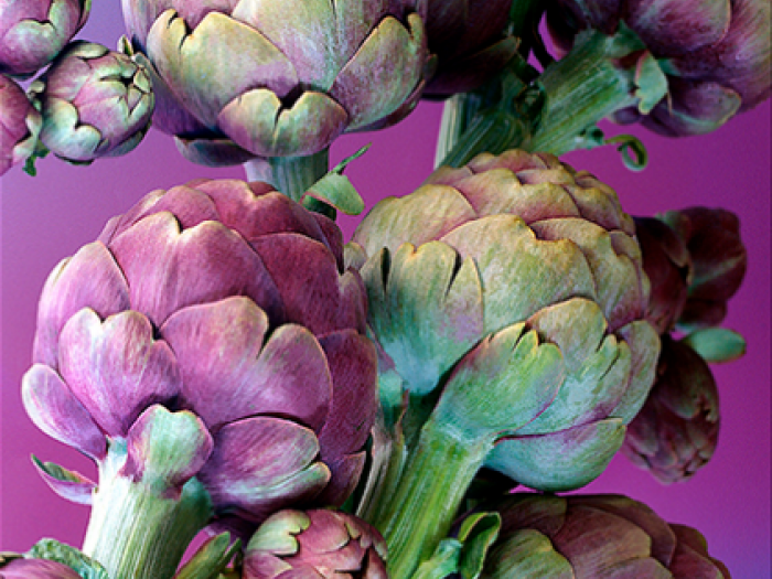 Archisio - Patrizia Savarese - Progetto Fotografia