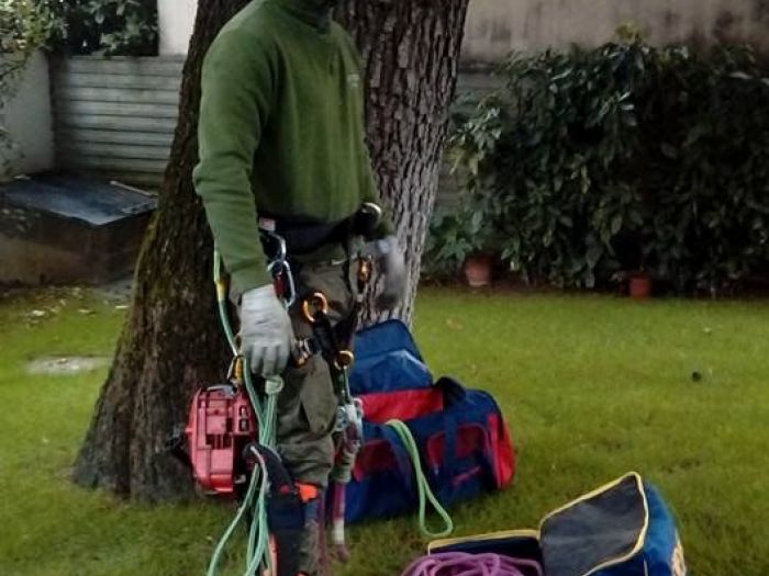 Archisio - I Giardini Dei Tudor - Progetto Potature e tagliamento di alberi