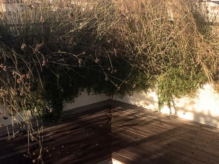 Archisio - Simone Ottonello - Progetto Terrazza dattico