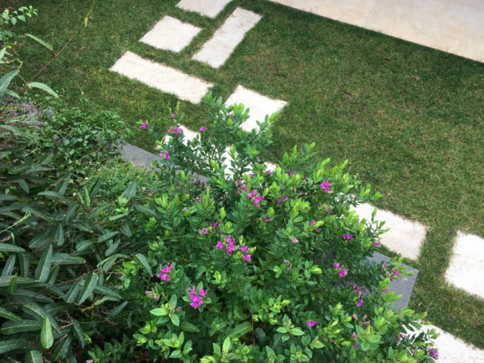 Archisio - Au Dehors Studio - Progetto Eleganza in giardino