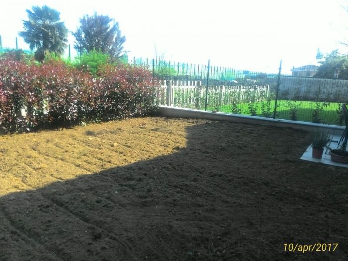 Archisio - Claudio Raiteri Verde Giardino - Progetto Fresatura