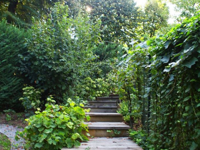 Archisio - Dario Castellino - Progetto Spazi esterni