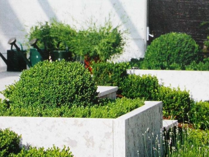 Archisio - Carlo Maria Maggia - Progetto Giardini