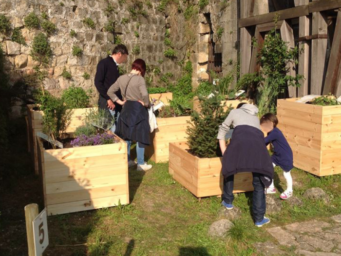 Archisio - Davide Stona - Progetto Installazione temporanea per hortus sanitatis