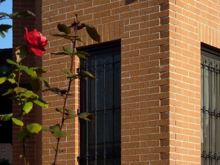 Archisio - Canavesio Bruno - Progetto Case in area ce2