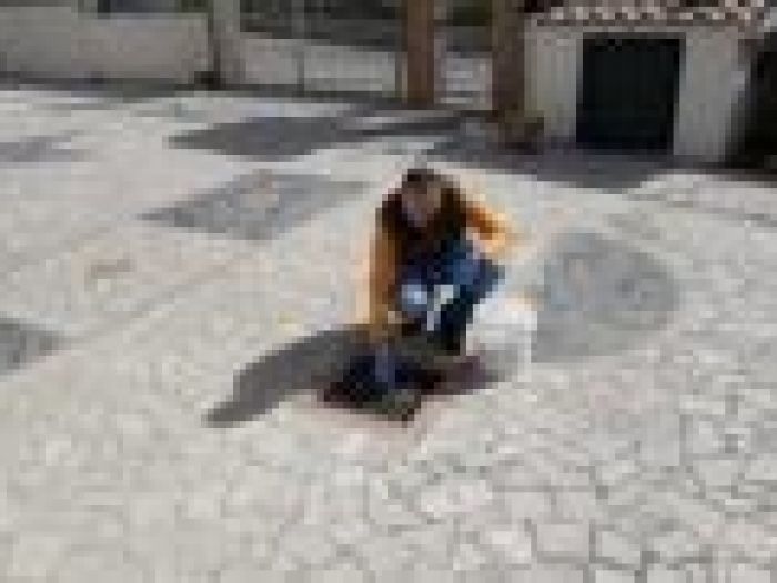 Archisio - Csgbnet Service Srls - Progetto Disifestazioni