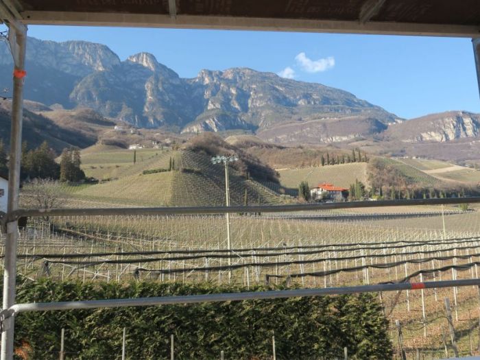 Archisio - Manuel Benedikter - Progetto Brunnenhof