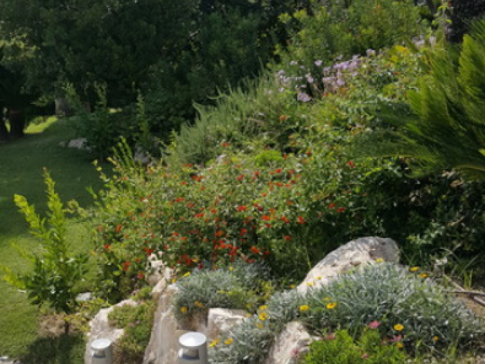 Archisio - Riccardo Traini - Progetto Taglia xl