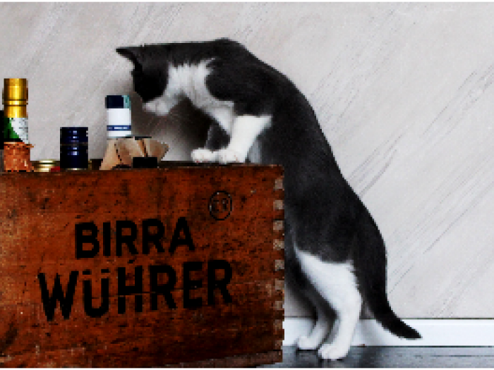 Archisio - Evoluzione Sc - Progetto Soluzioni