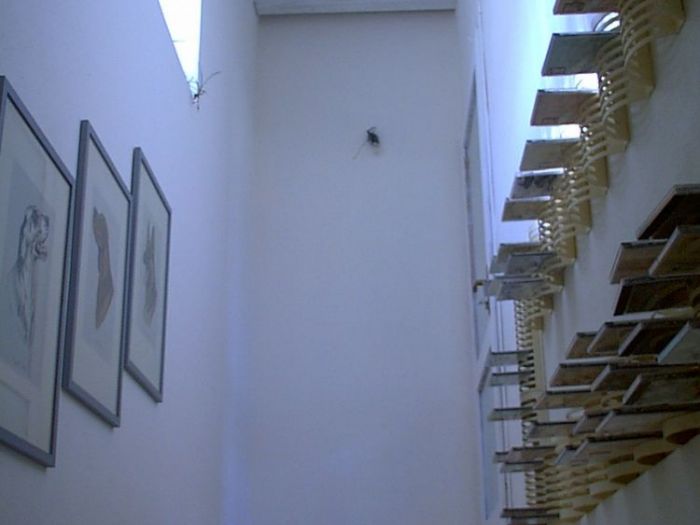 Archisio - Flli Conti Snc - Progetto Laboratorio rustico