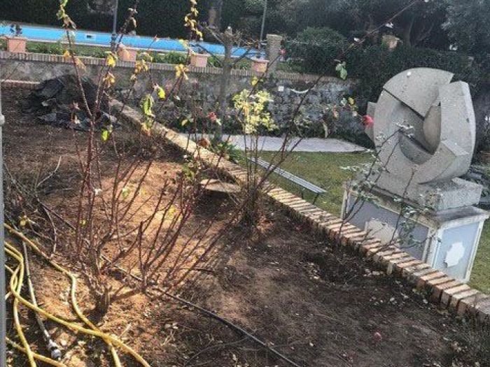 Archisio - Balduzzi Alessandra - Progetto Rose sane e belle