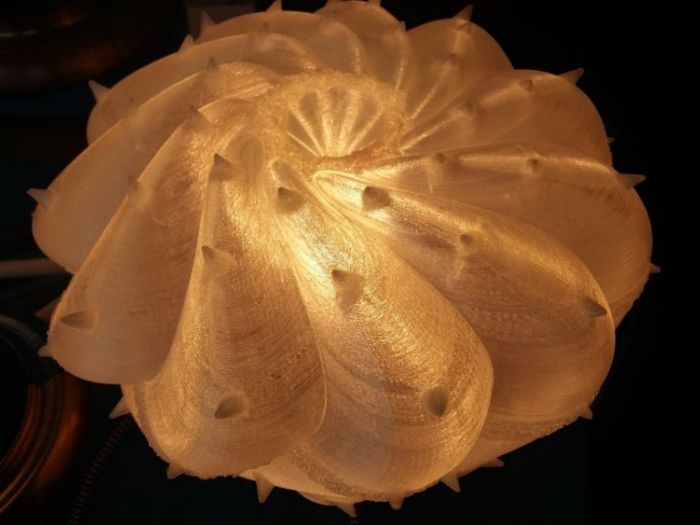 Archisio - Serena Fanara - Progetto Desert light modello cereus spiralis