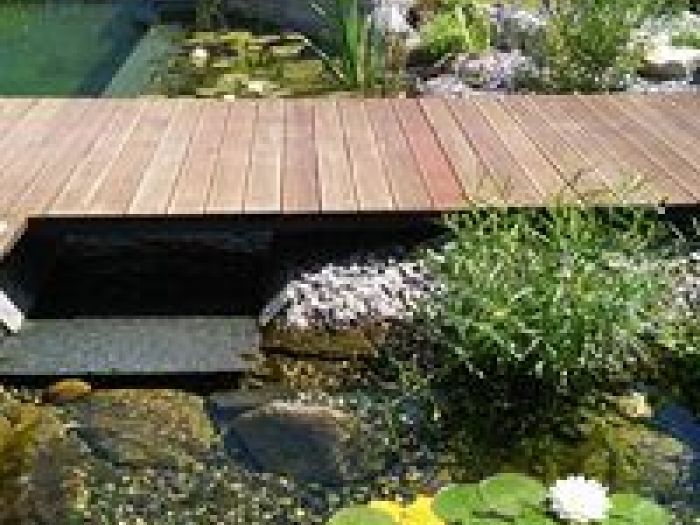 Archisio - Arqtropa Studio - Progetto Piscine naturali e vegetazione acquatica