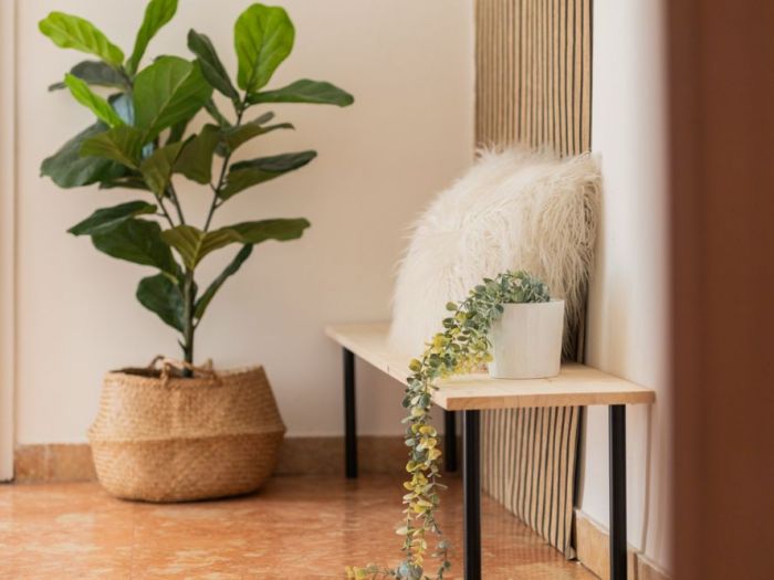 Archisio - Elisa Ricci - Progetto Casa sapienza