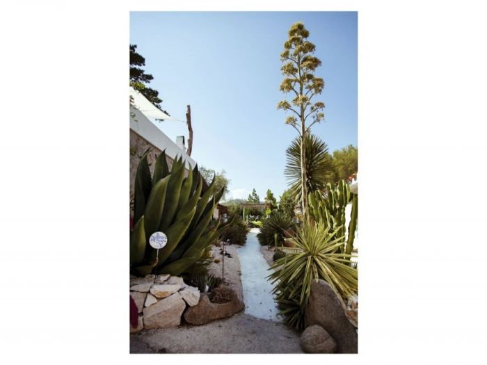 Archisio - Silvia Cardia - Progetto Oliena nuoro sardinia