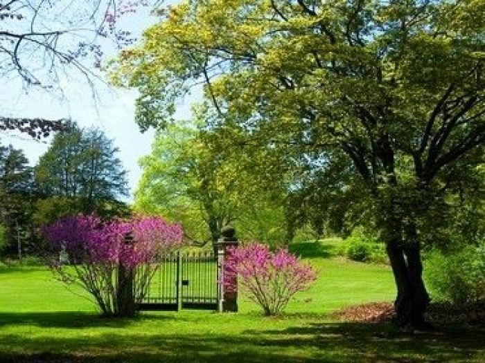 Archisio - Dotto Francesco Consulting Green - Progetto Parchiilluminazione parchi