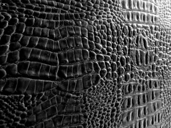 Archisio - La Servizi Ristrutturazioni - Progetto Interni