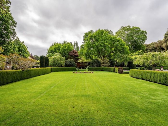 Archisio - Iudice Traslochi E Trasporti - Progetto Servizi di giardinaggio