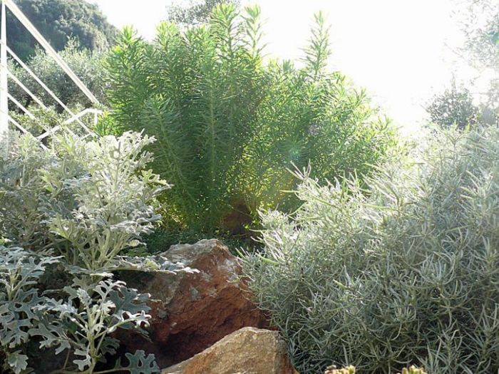 Archisio - Maurizio Grassi - Architetto - Progetto Villa nel golfo di la spezia