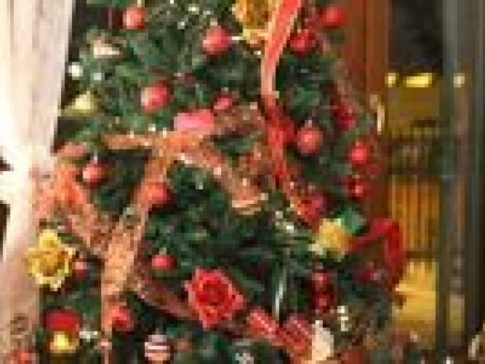 Archisio - Francesca Ianni - Progetto Interior design e outdoor