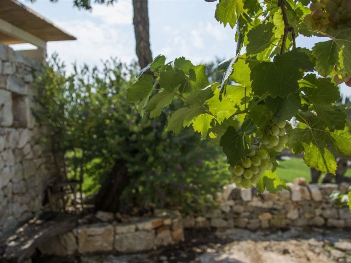 Archisio - Arkitetti Flore Venezia - Progetto Trulli vittoriani