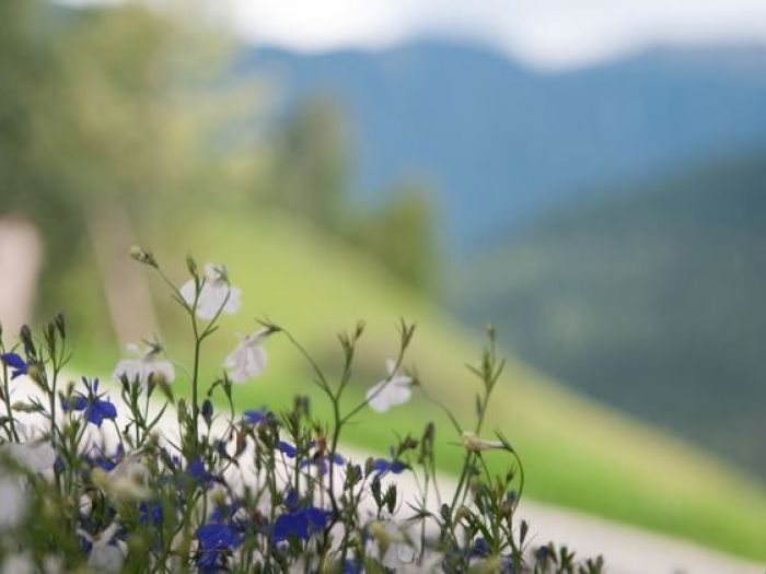 Archisio - Lucio Virzi Fotografo - Progetto Silentium rainstall