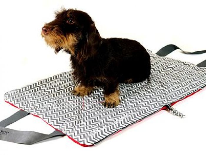 Archisio - Ildoppiosegno - Progetto Pet design