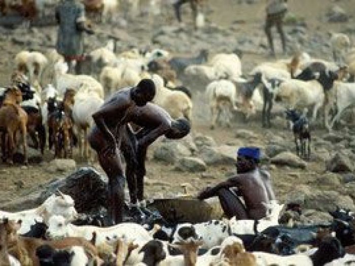 Archisio - Nico Marziali - Progetto Lucca e africa