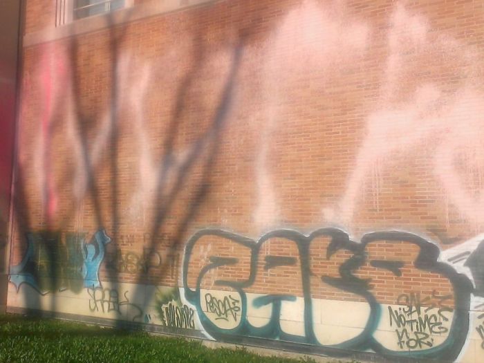 Archisio - Nemo srl - Progetto Rimozione graffiti