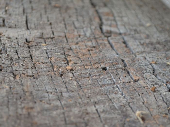 Archisio - Andrea Daguanno - Progetto Arredo