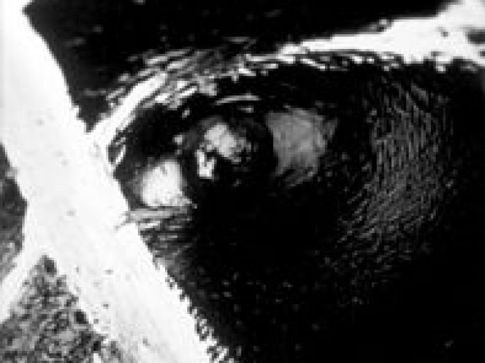 Archisio - Zone11milano - Progetto Art and architecture