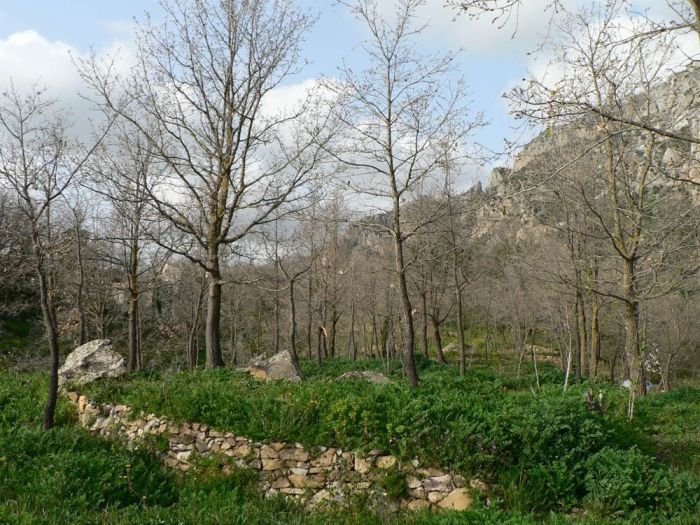 Archisio - Tindara Crisafulli - Progetto Tra luna e stelle