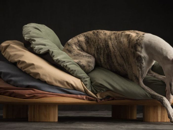 Archisio - Brandodesign - Progetto I cuscini oasi