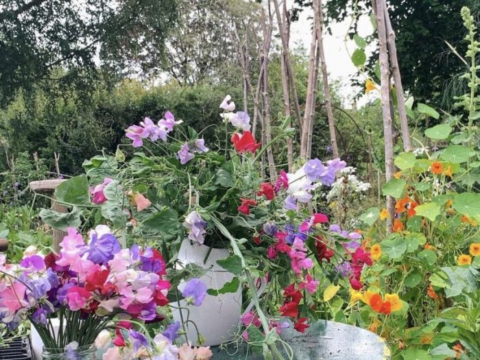 Archisio - Claudia Dibbe Piazza - Progetto Villa bianca