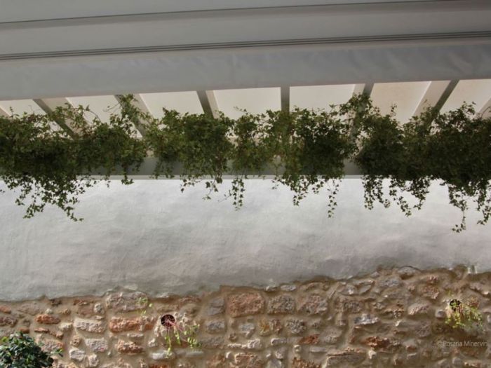 Archisio - Pedone Working - Progetto Verde matematico