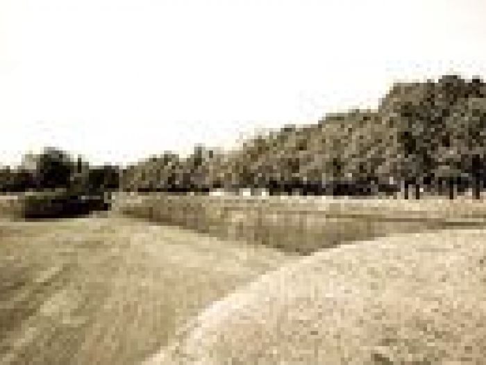 Archisio - Nico Marziali - Progetto Lucca e africa